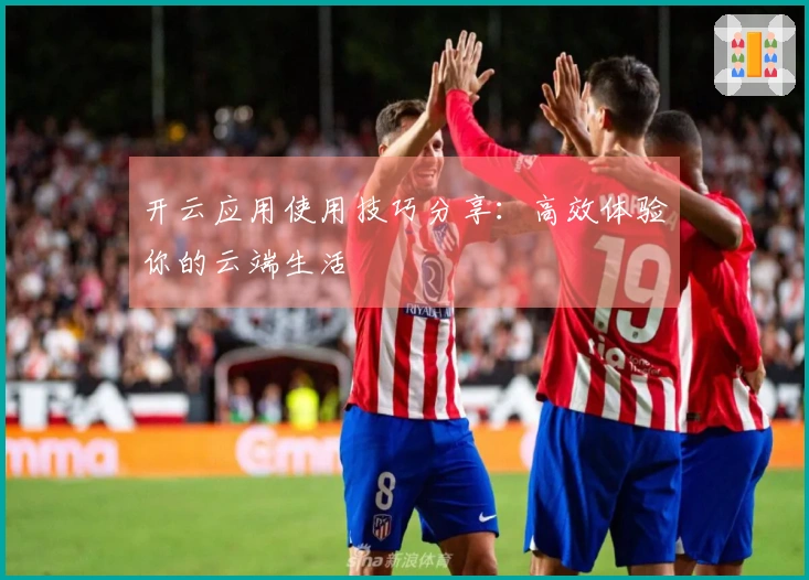 开云应用使用技巧分享：高效体验你的云端生活